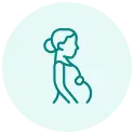 Pregnancy Calculator