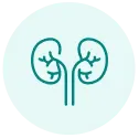 Creatinine Cleranace Calculator