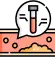 Lipid Profile