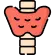 Lipid Profile