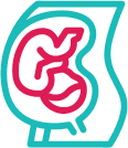 Obstetrics Gynecology