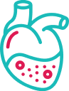 Cardiology